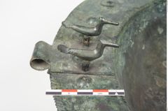 Foto von Bronzebreitrandschale (NHMW-PRAE-025600)